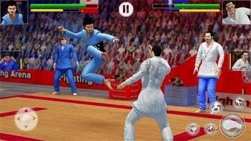 功夫大師破解版