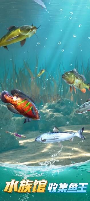 狂野釣魚2內(nèi)置菜單版