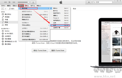 iTunes(蘋(píng)果音樂(lè)商店)