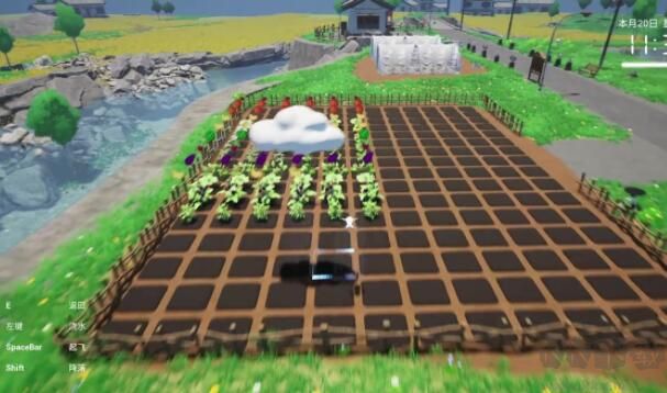 老家奇妙日記中文版