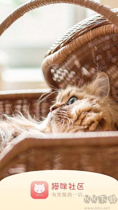 貓咪社區(qū)安卓版