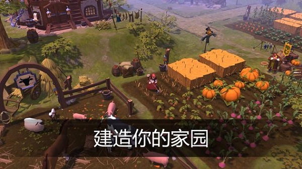 阿爾比恩ol