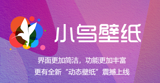 小鳥動(dòng)態(tài)壁紙電腦版