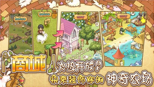 綿羊村的恬靜時(shí)光