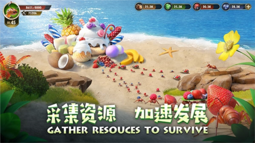 小小蟻國官方版