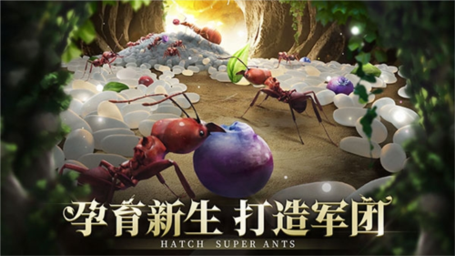 小小蟻國官方版