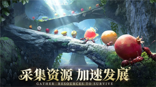 小小蟻國官方版