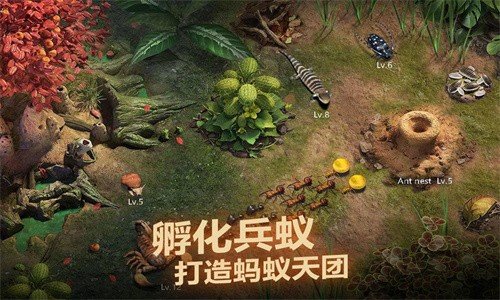 小小蟻國(guó)安卓版