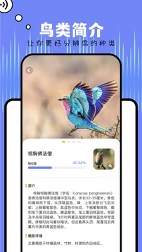 papago翻譯器安裝包