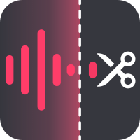 金舟音頻大師免費版 v2.1.8專業(yè)版