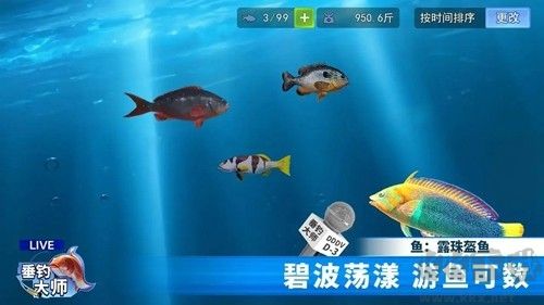 垂釣大師去廣告版