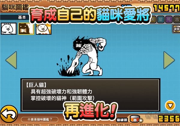 貓咪大戰(zhàn)爭(zhēng)