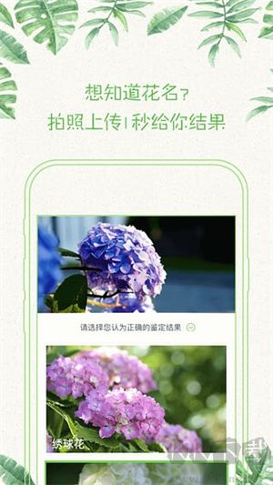 形色植物識(shí)別app最新版