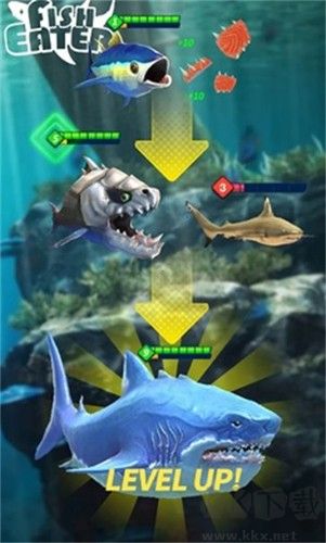 鯊鯊進(jìn)化論手機(jī)版