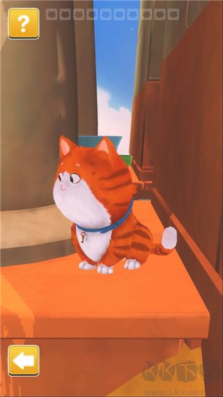 時間貓(Cats in Time)