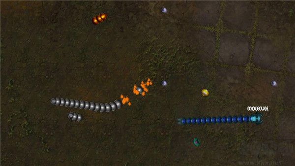 貪吃瑞拉中文版