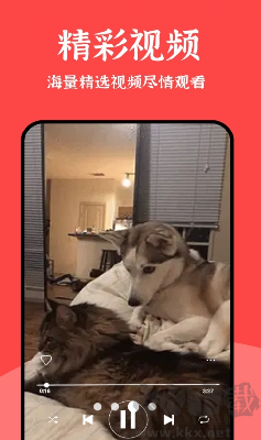 新聞天下事app最新版