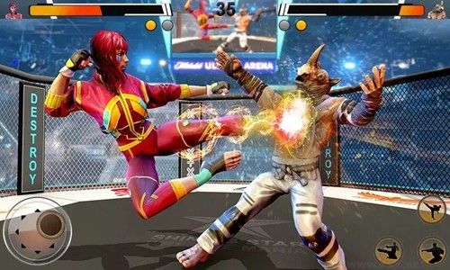 功夫格斗大師無限金幣版