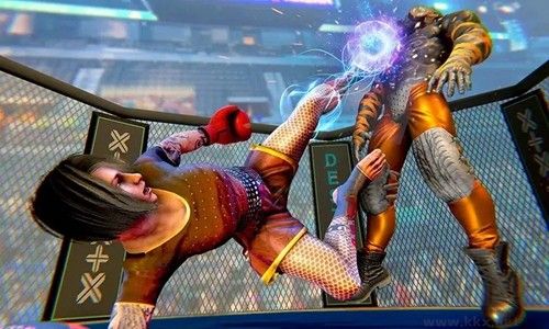 功夫格斗大師無限金幣版