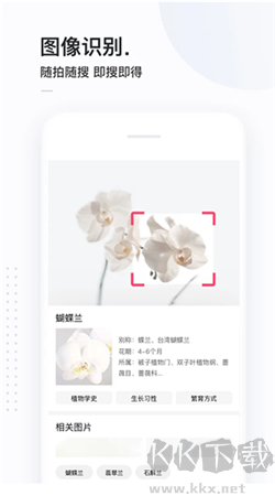 簡單搜索瀏覽器app