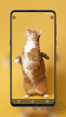 紙?zhí)帘诩堊钚缕平獍?>
                                <span id=