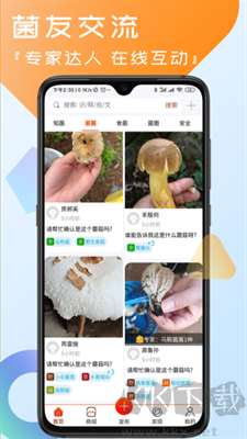 菌窩子app