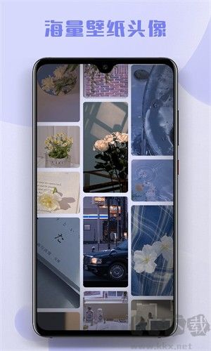 多多主題壁紙破解版