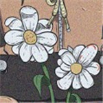 隨心音樂專業(yè)版 v4.3