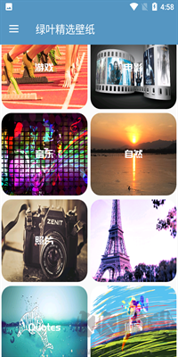 綠葉精選壁紙高清版