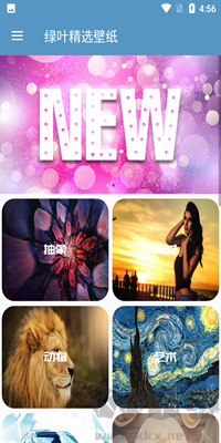 綠葉精選壁紙高清版