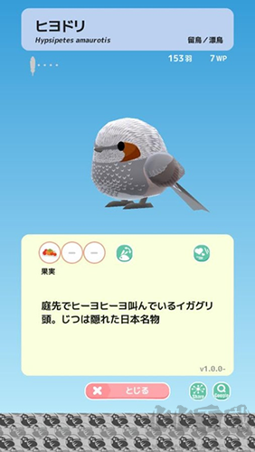 小鳥觀察2最新版