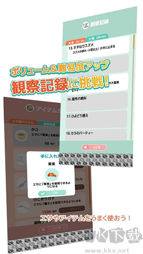 小鳥觀察2最新版