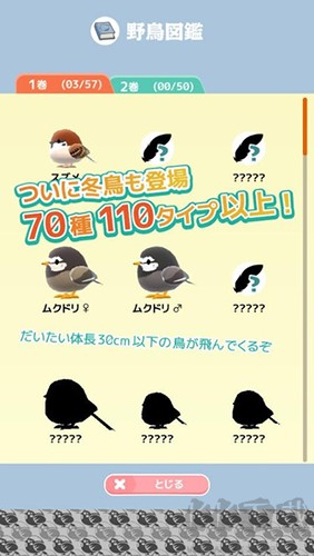 小鳥觀察2最新版