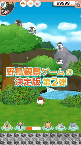 小鳥觀察2最新版