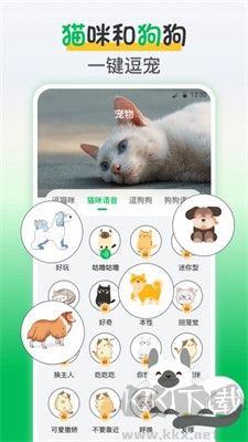 鳥語交流器2024最新版