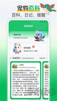 鳥語交流器2024最新版