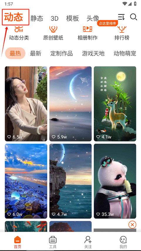 壁紙精靈高清版