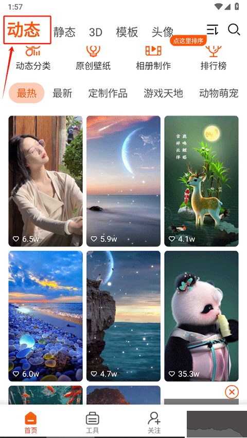 壁紙精靈高清版