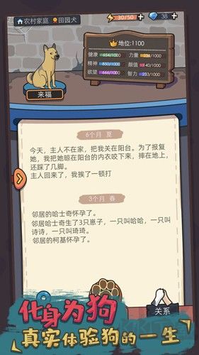 狗生模擬器無(wú)廣告版
