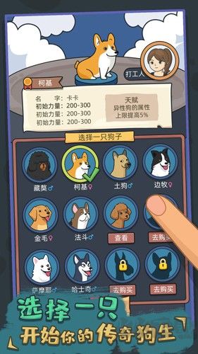 狗生模擬器無(wú)廣告版