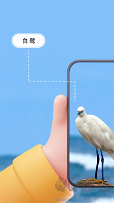 花草識(shí)別綠色版