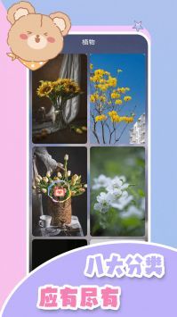 元?dú)庑⌒鼙诩坅pp超清版