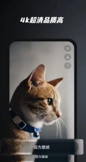 余香壁紙app最新版