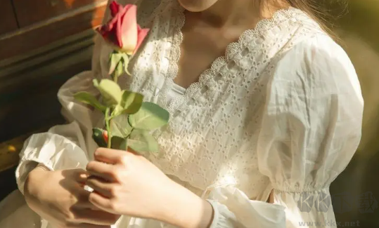 椰子壁紙app專業(yè)版