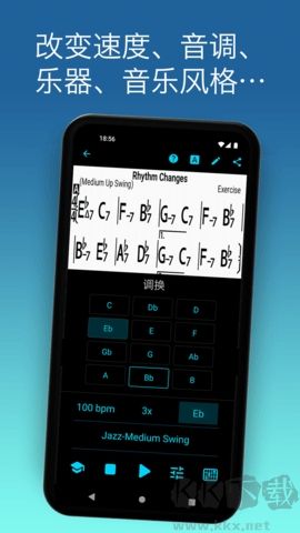 irealpro高級(jí)版