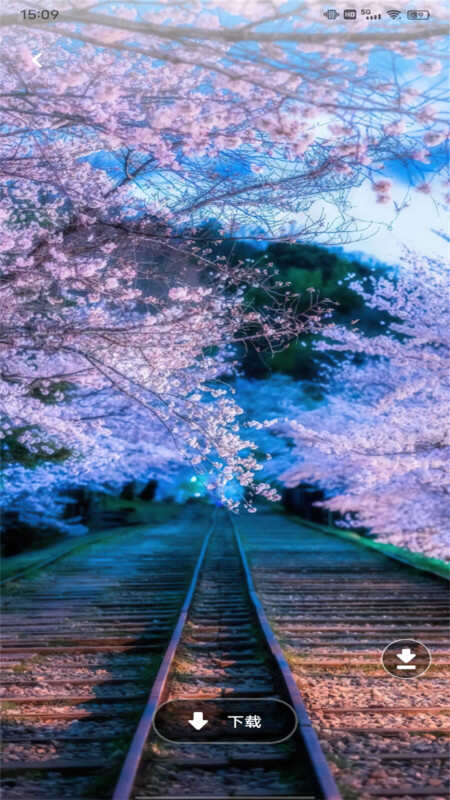 圖個(gè)壁紙軟件app標(biāo)準(zhǔn)版