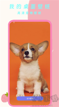 我的桌面壁紙安卓高清版