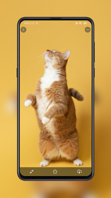 紙?zhí)帘诩坅pp無廣告版