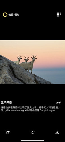 每日精選app綠色版