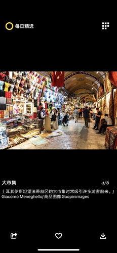 每日精選app綠色版